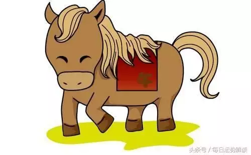 是屬什麼的屬相：屬兔的男人和什麼屬相最配