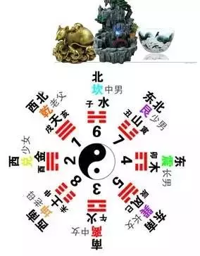 屬相兔家裡魚缸擺在什麼方位好：什麼人不能養金魚