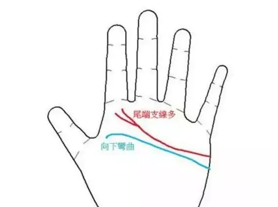 3、婚姻線圖解女士:女人手相事業線短好不好 婚姻線圖解