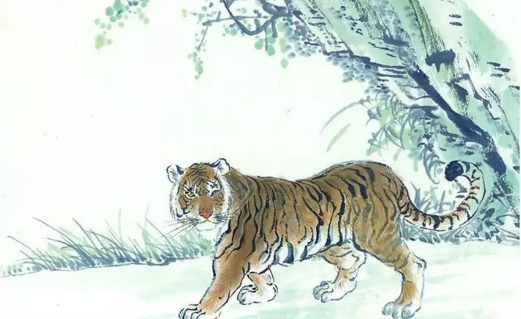1、屬虎都哪年生人:屬虎的是哪年出生的