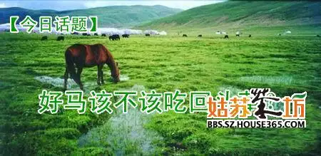 好馬不吃轉頭草是什麼屬相：肇事難以轉頭，代表什麼生肖