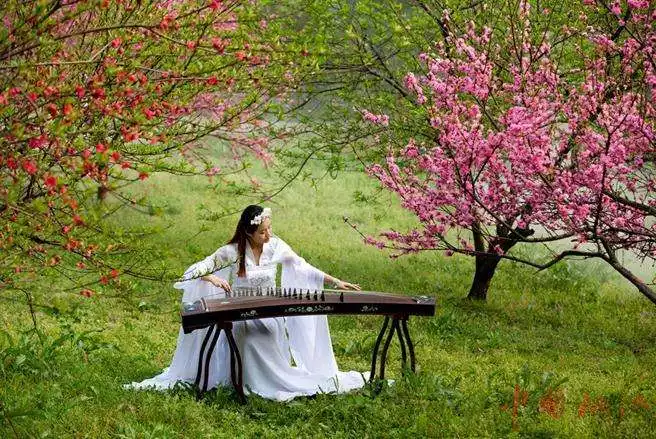 1、怎樣旺桃花運:怎麼旺“桃花運”？