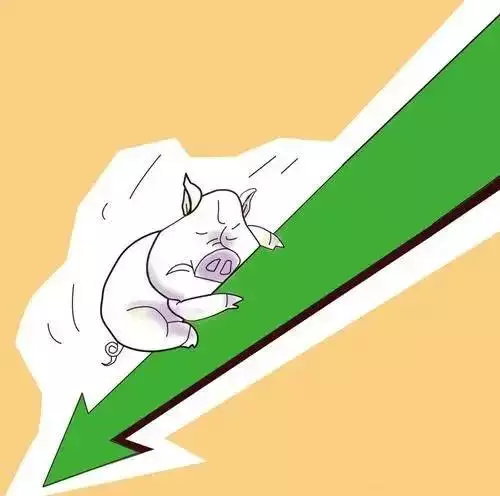 什麼屬相的人適合養豬：什麼生肖的人適合什麼養什麼樣的動物