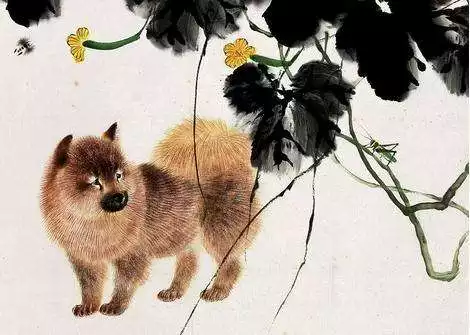 屬相按照春節算還是立春算屬狗：屬相劃分是以春節劃分還是以立春劃分?