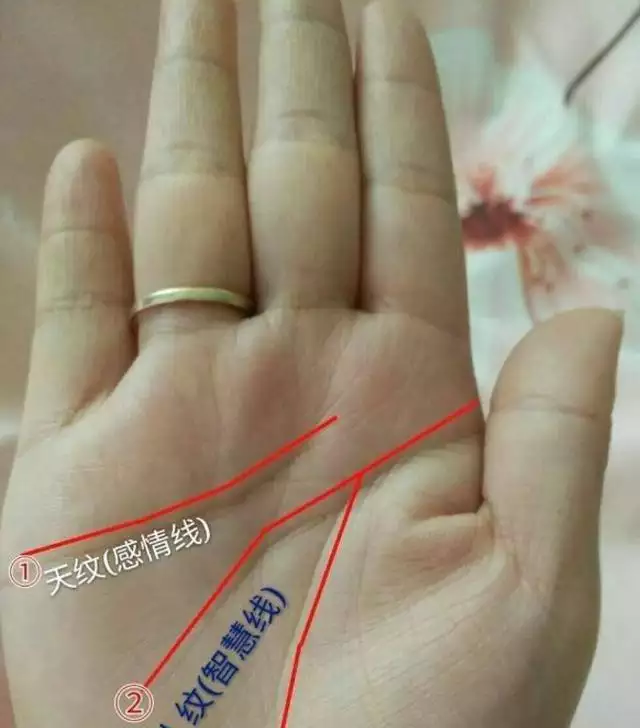 2、手掌上的婚姻線怎麼看:手掌上的婚姻線是哪條？怎麼看