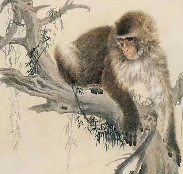夫妻都屬猴會不會幸福：兩個屬猴的人結婚，會幸福嗎？