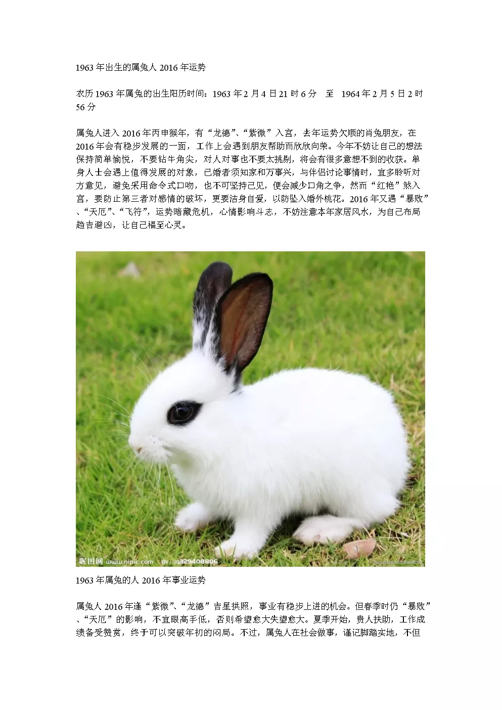 4、屬兔是哪一年出生的:屬兔都是哪年出生