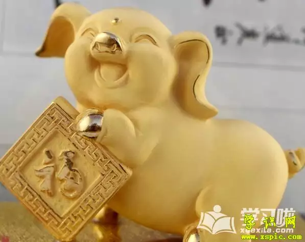 屬豬的改什麼名字最好：屬豬起名為梓晨可以嗎?