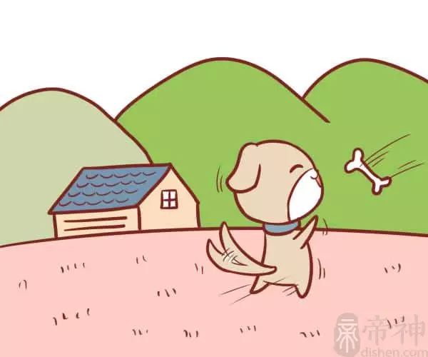 1、屬狗的婚配生肖:年屬豬的人和什麼屬相相配