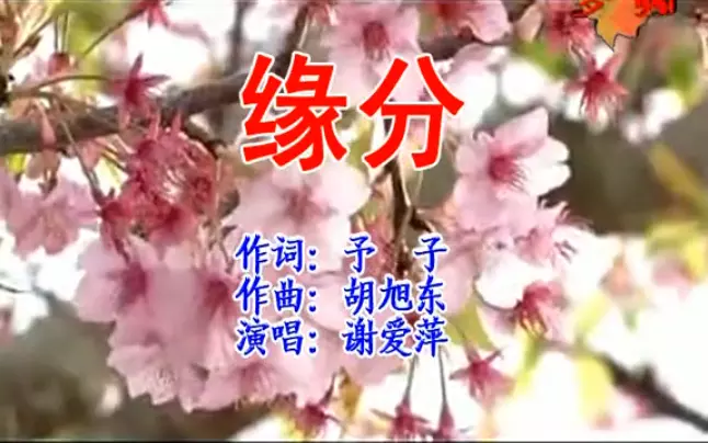 10、生日測緣分:生日測姻緣