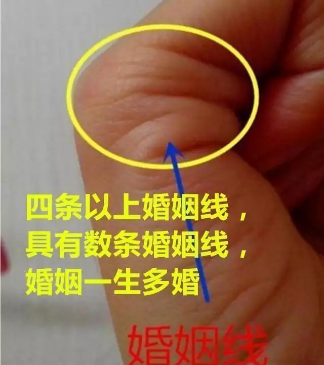 免費測一生有幾次婚姻：命理八字免費測有幾次婚姻