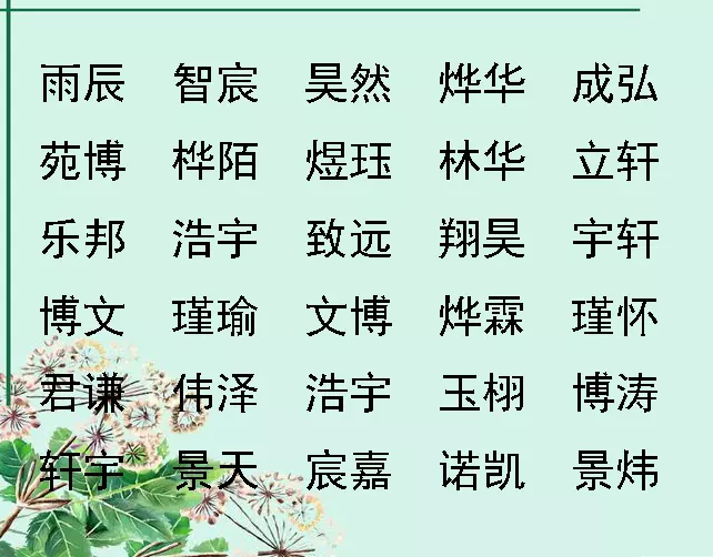 5、真正的免費起名字:免費起名字