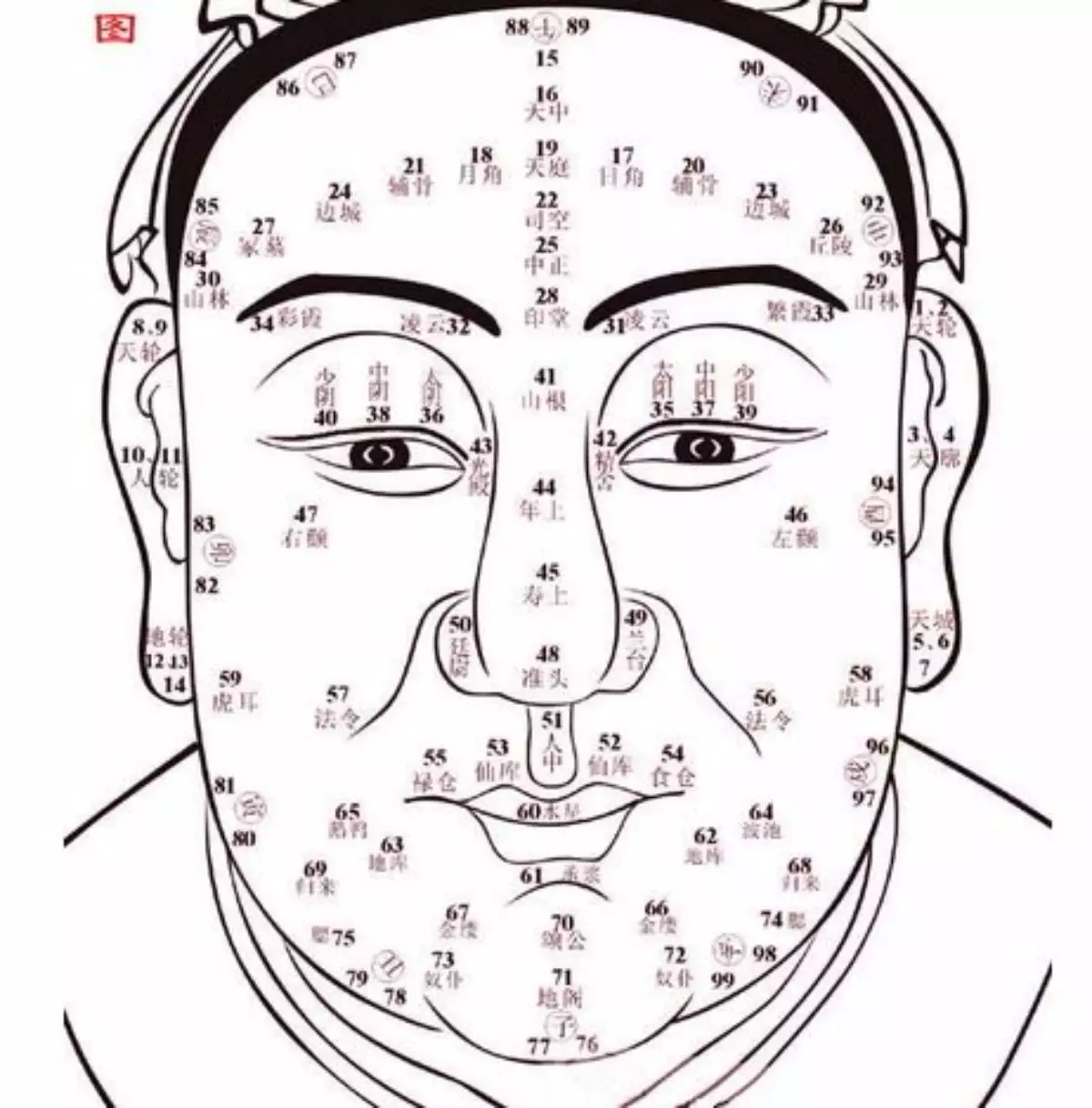 命中子女推算表頭胎女是什麼意思：命中有兒子一人首胎生女是什麼意思