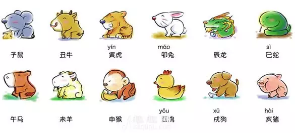 各個屬相娶親的最佳歲數：屬相婚配十二生肖歲數表
