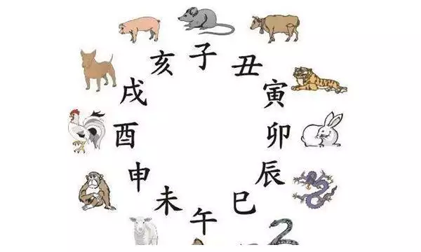 十二生肖蛇跟什麼屬相相衝：猴和什麼生肖相衝