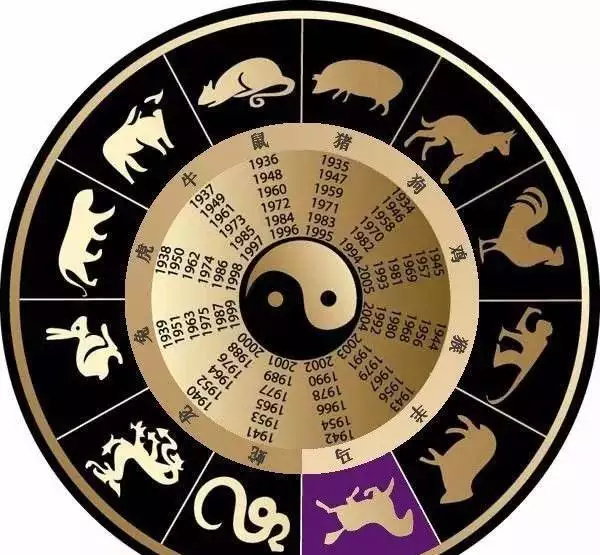 家裡有馬和屬相衝怎麼辦：屬馬的和家人屬相反衝怎麼辦