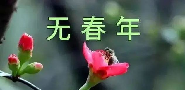 1、閏八月豬男婚配正月龍女:83年屬豬女和88年屬龍男配嗎