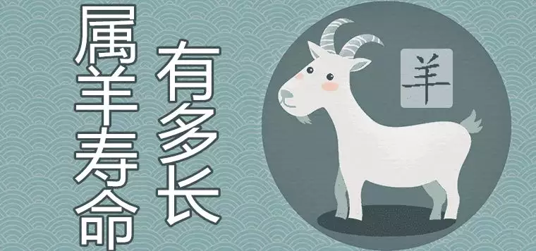 2、八零年屬羊女人婚配:屬羊婚配