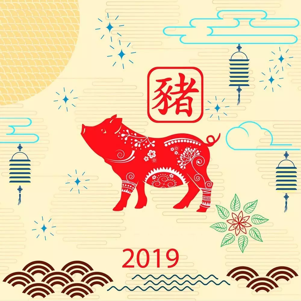 6、豬年和蛇年婚配怎麼樣:豬年出生生肖和出生時蛇相衝命運會怎樣