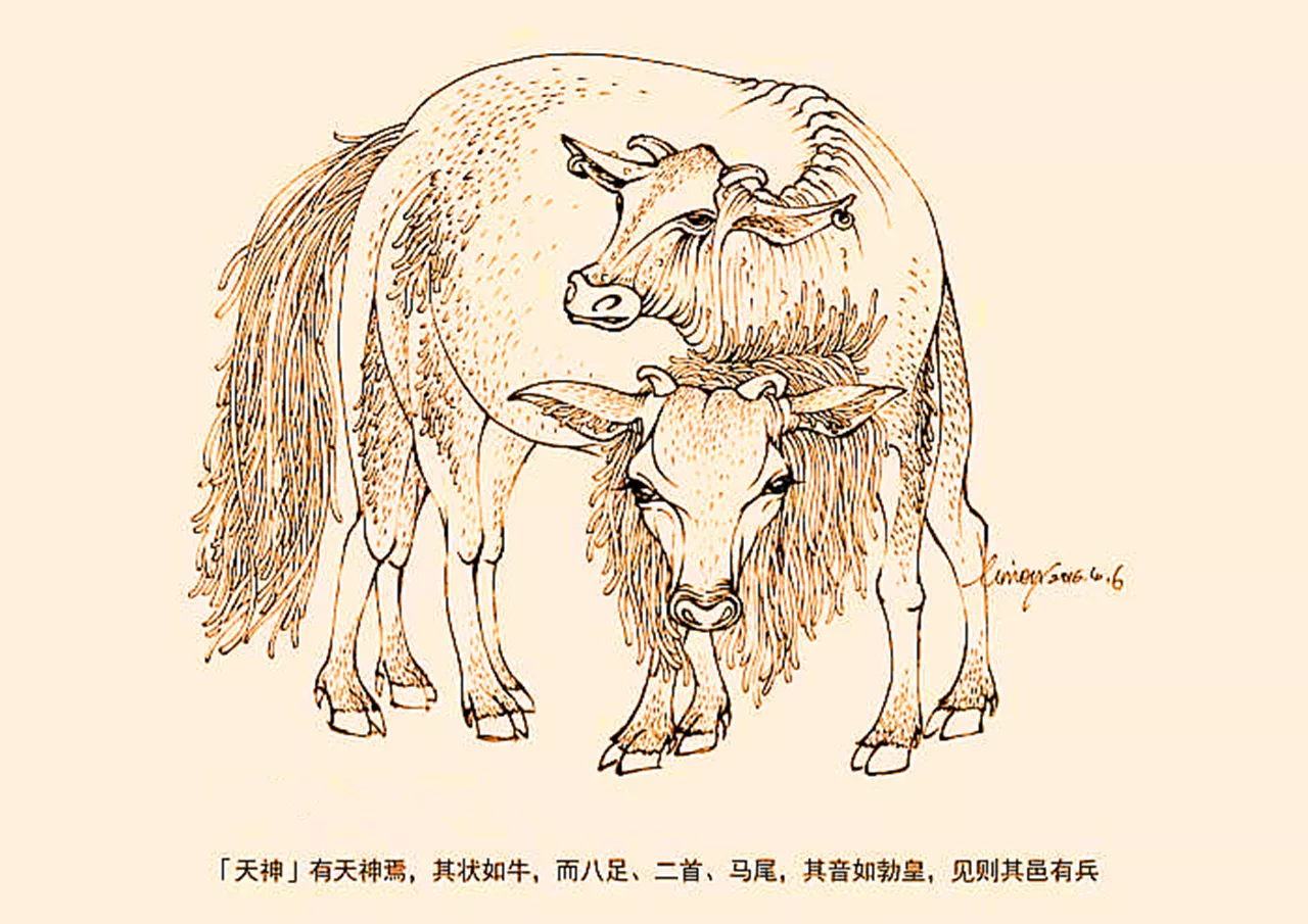 3、相牛的和相豬的能不能婚配:屬豬男與屬牛女能婚配嗎