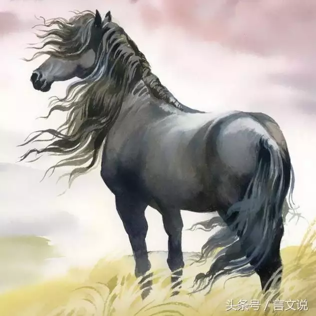 4、年屬馬一生命運如何:屬馬的一生有沒有大富大貴的命運