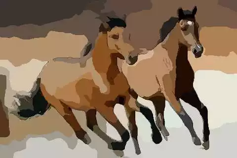 4、生肖馬今年運勢:90年屬馬年運勢及運程