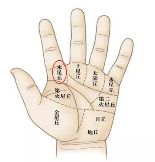 八字測有幾個兒女怎樣看：如何看八字有幾個子女