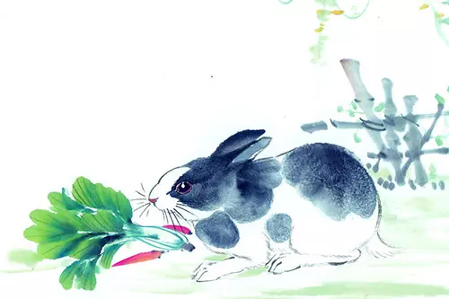 女性屬兔的明天的財運怎麼樣：屬兔女性今年的財運怎樣