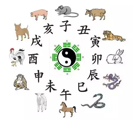 12時刻子時是什麼屬相：十二生肖子時指的是什麼時刻