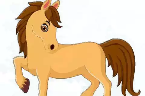 2、年出生年運:年的馬在年的運勢