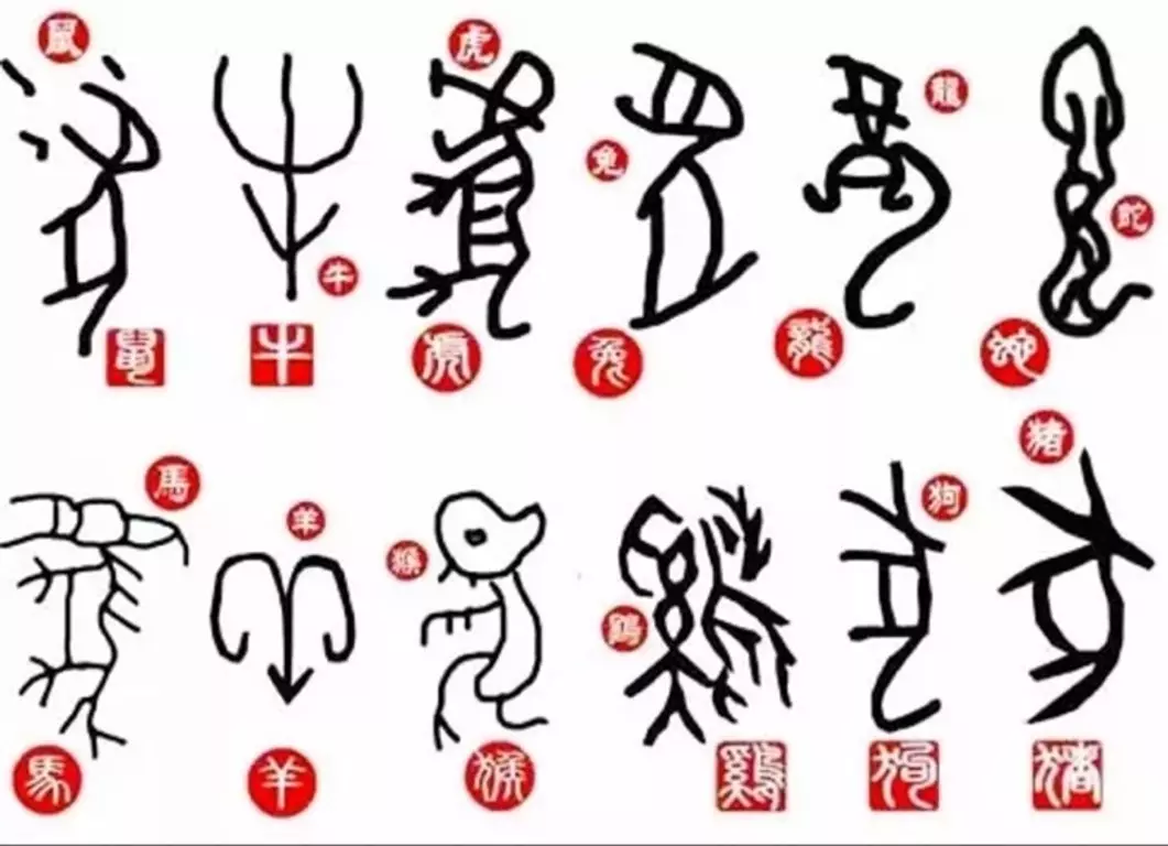 1、生肖兔與屬龍的婚配好不好:屬兔和屬龍的在一起就是不好嗎