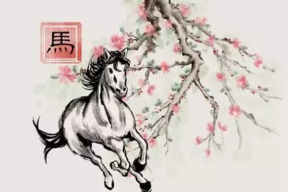 4、年正月屬馬的是什麼命:屬馬年是什麼命