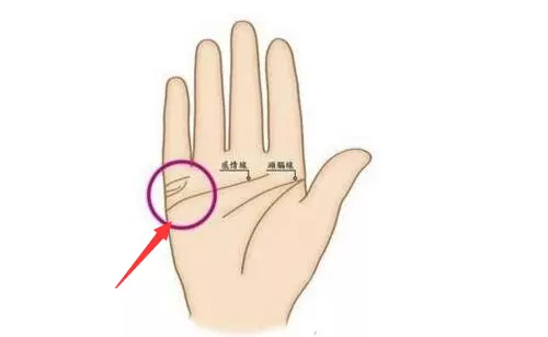 2、手相的感情線和婚姻線怎麼看:幫我看一下手相，婚姻線和感情線如何