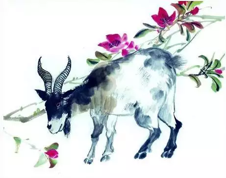 羊和虎的屬相婚姻合不合：屬虎跟屬羊合不合