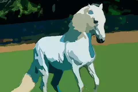 2、年屬馬人的運勢:年屬馬男人的全年運勢