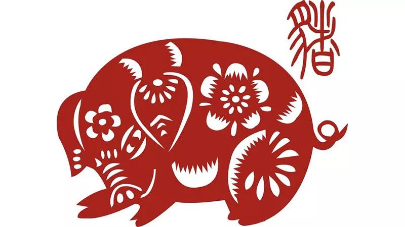 3、75年兔和59年豬婚配:年屬豬的和年屬兔的能夠走到婚姻嗎