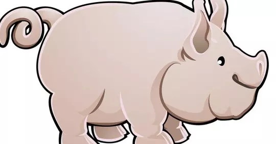 4、83屬豬什麼時候翻身:83屬豬什麼時候翻身？
