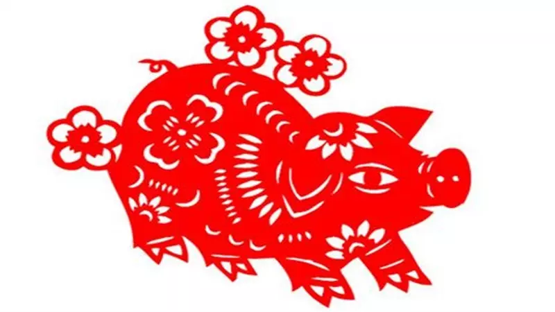 1、屬猴與屬豬婚配好不好:男屬猴女屬豬的婚配有何不好?