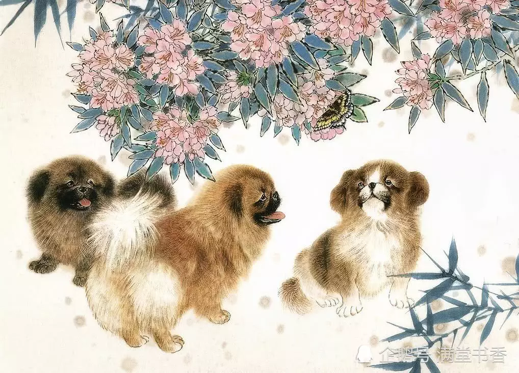 豬爸狗媽生個啥屬相的娃娃好：豬媽媽，雞爸爸，生什麼屬性的孩子？