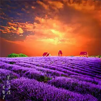 女人微信名字帶來好運：帶來好運的微信名