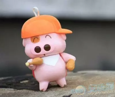 屬相豬的適合住哪個樓層：什麼生肖住幾層樓 最好豬