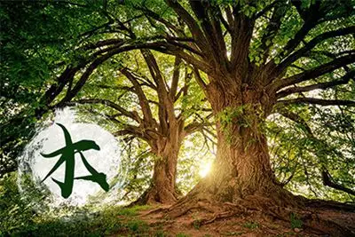 4、跪求：劍鋒金命《女》和大林木命《男》可以婚配嗎？~婚後財運情形會怎麼樣~~？