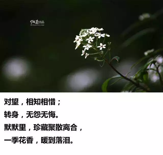 4、緣分配對免費:免費姓名緣分配對