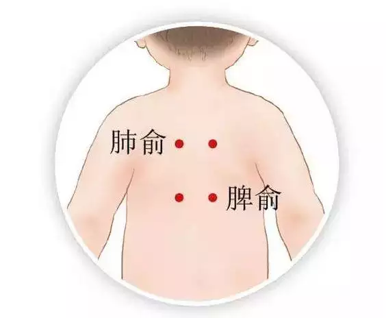 三九兩邊開是什麼屬相：三九找平兩邊開特什麼生肖或什麼数字?