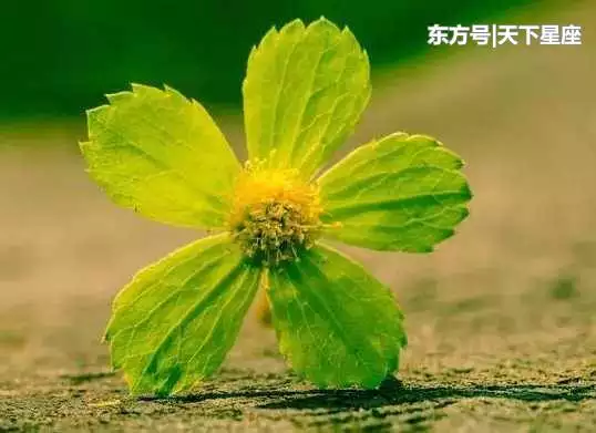 愛占宜的人屬相有哪些：瑣屑較量，小氣摳門的生肖都有哪些？