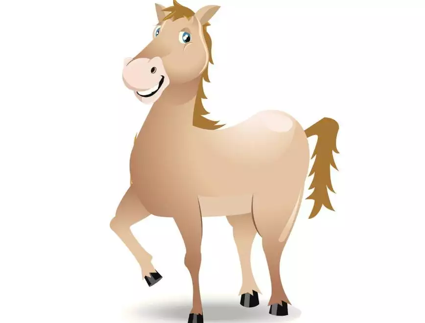 十二生肖屬兔午馬屬相：十二生肖依次排名是什麼
