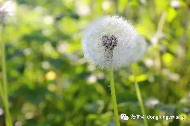 18年六月十六日十二屬相運勢：年6月十六日出生明年運氣怎麼樣