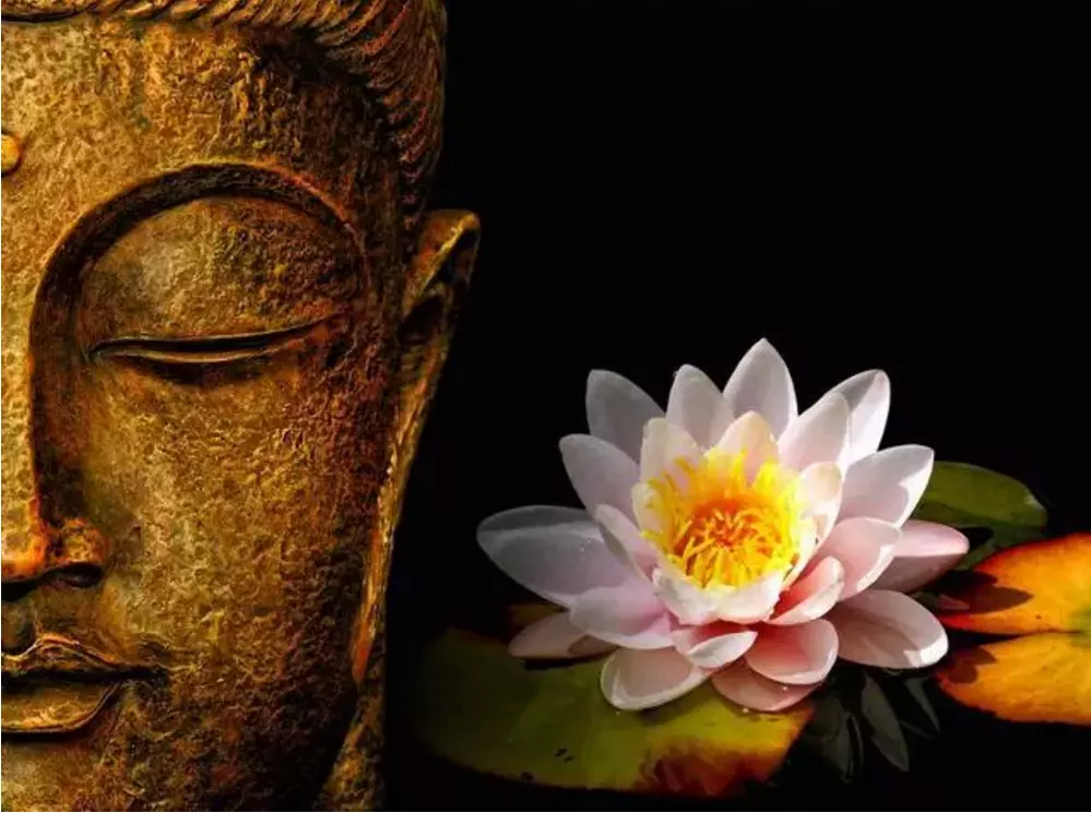 1、： 今生的妻子，前世你埋的人；來還未報的恩。 今生的兒子，前世你的；來追未還的債。 今