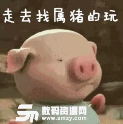 豬新娘找什麼屬相最好：屬豬的嫁什麼屬相好？嫁那個方向好？