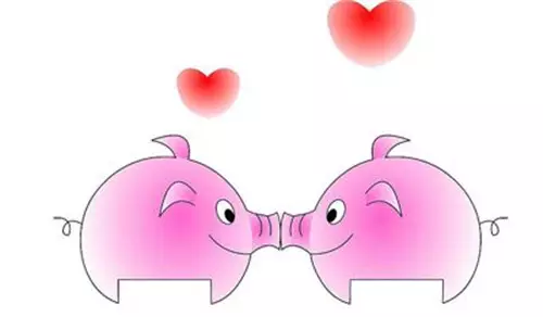 2、屬跟屬豬男婚配嗎:女屬雞的和男屬豬的婚配